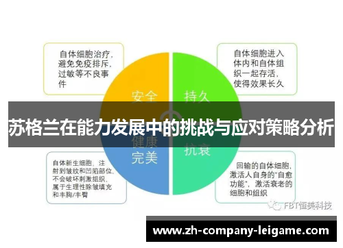 苏格兰在能力发展中的挑战与应对策略分析