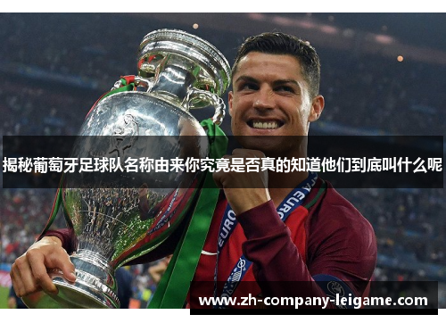 揭秘葡萄牙足球队名称由来你究竟是否真的知道他们到底叫什么呢