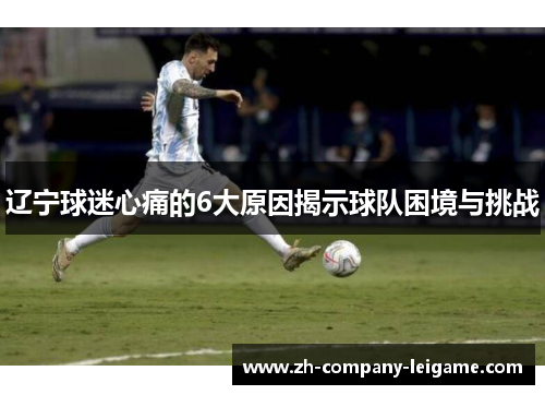 辽宁球迷心痛的6大原因揭示球队困境与挑战