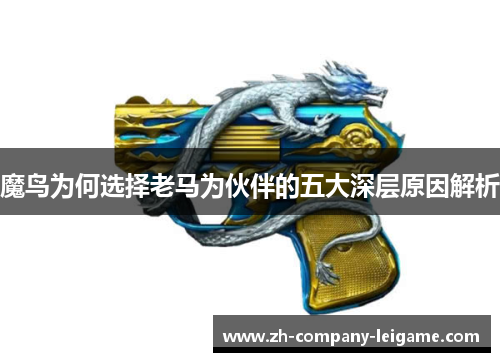 魔鸟为何选择老马为伙伴的五大深层原因解析